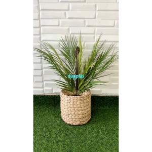 Pohon Artificial Tanaman Hias Daun Palem X12 Latex Cover Pot Eceng Gondok Dekorasi Studio Pajangan Ruang Tamu