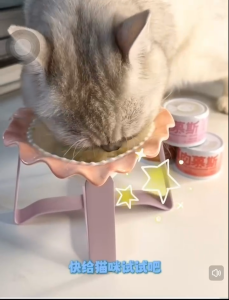 Cator 喵彩主食慕斯奶糕 (55g*4)