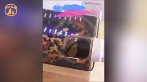 Automatic Fish Feeder / Auto Fish Food / Pemberi Makan Ikan Otomatis