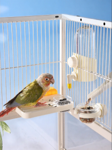 YUEXIAOMENG | Feeding Drinking Set for Parrots