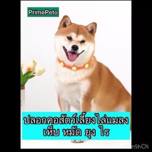 [ได้ครบชุด] ปลอกคอสุนัขกันเห็บหมัด ปลอกคอแมวไล่เห็บ ปลอกคอสุนัขไล่ยุง น้ำยาสกัดจากน้ำมันหอมระเหย ปลอกคอสัตว์เลี้ยงไล่เห็บหมัด ปลอกคอสัตว์เลี้ยงไล่ยุง ไล่แมลง เพื่อสุขภาพที่ดีของสัตว์เลี้ยง