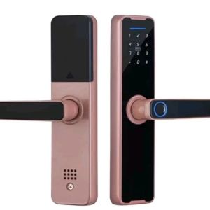Smart Door Lock Fingerprint Kunci pintu dengan sidik jari password Warna Brown dan Blck