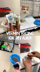Holycatlabs Paket Hemat 3 Pcs Royal Care Vitamin Kucing 5 kapsul I Vitamin Bulu Gemuk Imun Anti Rontok Anti Virus