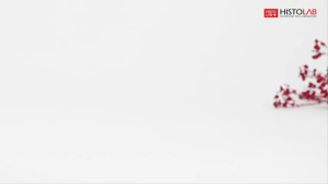 Serum Dưỡng Trắng Da Histolab 47% Vita C Complex Ampoule 50ml