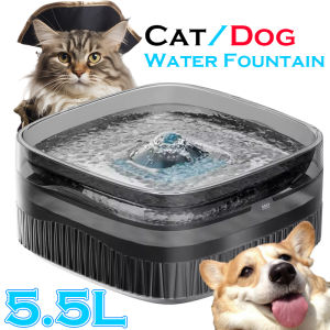 Dog Water Fountain for Cat Dogs 5.5L Large Automatic Pet Water Dispenser Cat Water Fountain Dog Water Bowl Dispenser Multi-Pet