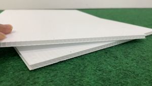 5mm thick PP Corrugated Board Various SizeWhite/Mounting Board/PP Hollow/Impra Board/Plastic Board/Stationery/Living Art