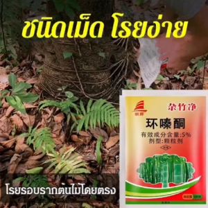 ต้นไม้100ปี เน่าใน1วัน ยาฆ่าต้นไม้ใหญ่ สารกำจัดกอไผ่ ยาฆ่าต้นไม้ ไม่ทำลายดิน ผงฆ่าต้นไม้/500g