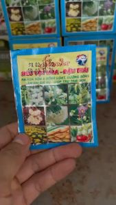 Thuốc siêu vọt hoa đậu trái cứng trái (Gói 10 gram) Siêu ra hoa chống chai đầu đọt