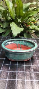 Chậu bonsai bát tràng ovan dáng cao