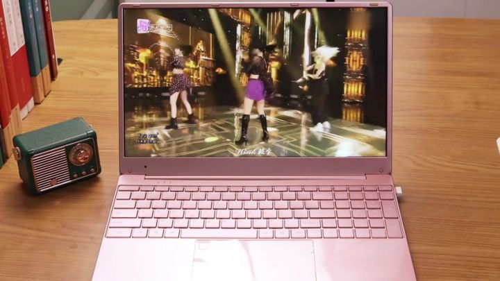 Pink Laptop Fingerprint Unlock 12th Gen Intel N5095 16GB