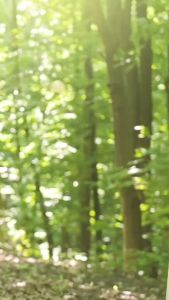 ผ้ากาโตลีน่า ผ้าเนื้อหนา ลายทอมี Texture ในตัว ผ้าอยู่ทรงดีมาก ขนาด 1 หลา พร้อมส่ง