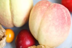 Fresh Plum - 1pc/6pcs