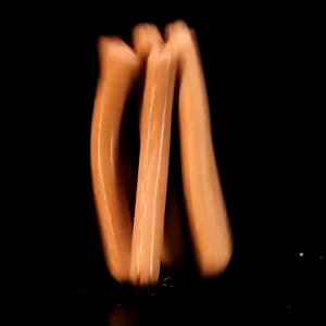 ไส้กรอกสุนัข ไส้กรอกแมว ไส้กรอกสุนัขแมว ขนมสัตว์เลี้ยง คุณภาพสูง รสเป็ด/เนื้อปลา/รสไก่ เหมาะสำหรับรางวัลการฝึกอบรม