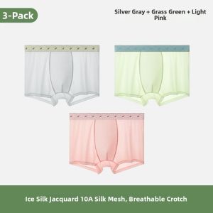 Yuzhaolin | Ice Silk & Silk Summer Thin Mens Briefs