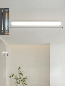 DGY | All-Spectrum Ceiling Light for Hallway Entrance Kitchen Balcony
