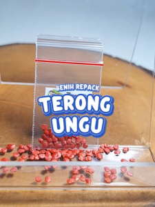Benih Terong Ungu Unggulan berkualitas biji bulat hijau bibit hydroponik hidroponik sayuran sayur