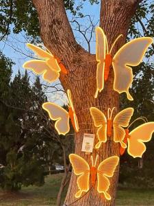No Brand | Dynamic 3D Colorful Butterfly Decorative Lights