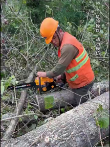 18"/20"/22" inch 2 Stroke Petrol Chainsaw Heavy Duty Chainsaw 52cc Chainsaw Gasoline Chainsaw Logging saw