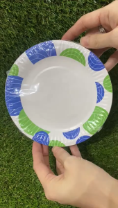 (20Pcs) Eco Paper Plate / Party Paper Plate / White Plate / Disposable Paper Plate /Kertas Pinggan