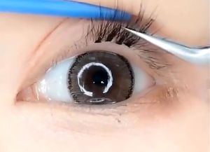 Ready Stock/COD: 10Rows/8Rows/5Rows Mink Eyelashes 10D/20D/30D/40D Eye Extension Natural Soft Thick Cluster False Eyelashes