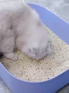 ครอกแมว ทรายแมวเต้าหู้ออร์แกนิก 100% 2.5kg จับเป็นก้อนอย่างรวดเร็ว ทรายเต้าหู้ Tofu cat litter มีให้เลือก ทราบแมว ทรายเต้าหู้ ทรายแมวผสม