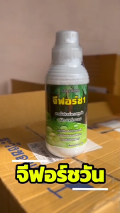 จีฟอร์ชวันสารจับใบเร่งการดูดซึม สูตรเข้มข้นไม่มีแอลกอฮอล์ ไม่ทำร้ายใบพืช 1 ลิตร