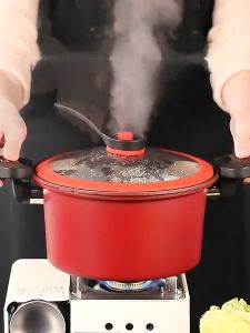 Micro Pressure Cooker (Non-Stick Pan): A Revolutionary Cooking Experience