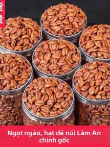 Hạt Óc Chó Tươi Thu Hoạch Từ Thiên Nhiên