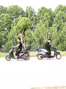 TOOKTRO | Elastic Stretchable Straps for Motorcycles Bicycles Luggage Binding