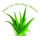 Shop Cây Nha Đam Alovera