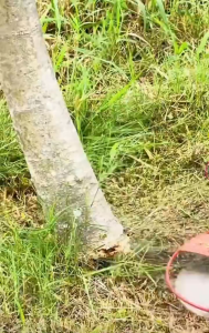 การ์ดใบมีดตัดหญ้า โครงเหล็กเซฟตี้ กันชนใบตัดหญ้าขนาด 11 นิ้ว 15 นิ้ว โครงป้องกัน โครงป้องกันใบมีดตัดหญ้า ฝาครอบใบมีดตัดหญ้า การป้องกันต้นกล้า ป้องกันใบตัดไม่ให้กระแทกกำแพง