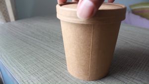 26oz Kraft Paper Bowl with Lid 25 pieces