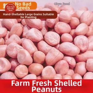 Fresh Raw Peanut 5kg