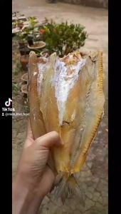 KHÔ CÁ MỐI TRẮNG - NGON RẺ ĐẬM CHẤT MIỀN TÂY - Lazada