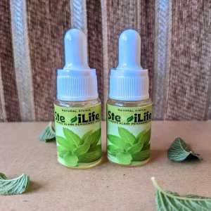 stevia pemanis alami pengganti gula baik untuk kesehatan dan penderita diabetes