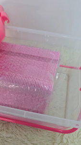 SET 2 ชิ้น กล่องล๊อคพลาสติก + ไม้แขวนเสื้อเด็กแพค 60 ชิ้น อุปกรณ์เตรียมคลอด แม่และเด็ก