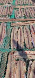 500GR Khô Cá Hố Tẩm Vị Ngọt Nhẹ Ngon làm nhiều loại gỏi như gỏi xoài gỏi dưa leo rim giấm đường-  MINH TRIẾT food