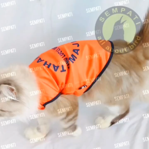 SEMPATI GROSIR Baju Kucing Model Tahanan Majikan Isi 10 Pcs Baju Hewan Peliharaan Kucing Anjing Kelinci Monyet Pakaian Kaos Singlet T-Shirt Kostum Santai