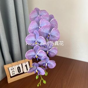 Hoa Phong Lan 3D Giả 9 Đầu Phim Trang Trí Đám Cưới Phòng Cưới Trang Trí Hoa Tươi Không Khí Phong Cách Sang Trọng