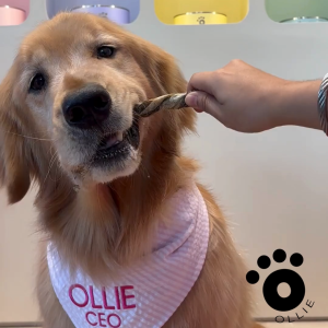 Ollie Treats: Salmon Skin Rolls