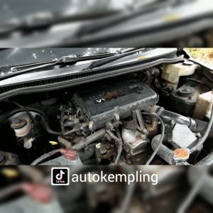Pengusir Serangga untuk Kap Mobil: Peddestol Anti Rat & Insect