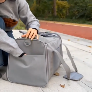 Ventilated Puppy & Kitten Carrying Bag - Foldable Soft Pet Travel Carrier with Comfort Mat and Accessory Pocket