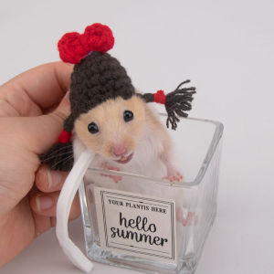 Hamster Hat Pulling Rope Sugar Glider Golden Retriever Guinea Pig Flower Rat Pig Dragon Cat Universal Pet Accessories