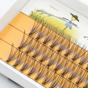 10D Eyelashes 60 bundles/box Individual Eyelash Cluster Natural Eyelash extension Makeup Tools Soft box Lashes wholesale