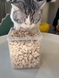 Freeze-Dried Cat Snacks Chicken Nuggets Chicken Breast Quail Spring Fish Nutritional CheekEgg Yolk Cat Food Cat Snacks