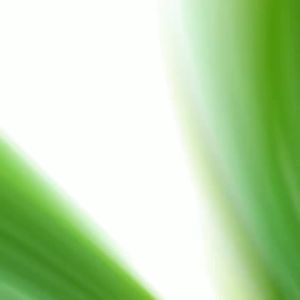 ZEO Artificial Leaf Lotus leaf Simulation Leaf for Hawaiian Theme Party Decorations Home garden decoration