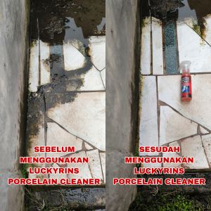 TERLARIS PEMBERSIH KERAK LANTAI TOILET