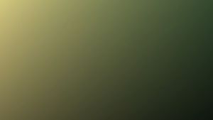 Sarung Bantal Sofa Elegan & Aesthetic: Cara Memilih dan Menggunakan