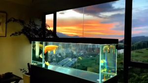 LED โคมไฟพิพิธภัณฑ์สัตว์น้ำ TH2Slim LED Light Clip Blue White Aquarium Fish Plant Tank Lampu Ikan Akuatic    READY STOCK