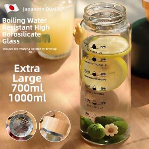 Cold Brew Portable Heat Resistant Borosilicate Glass Water Bottle